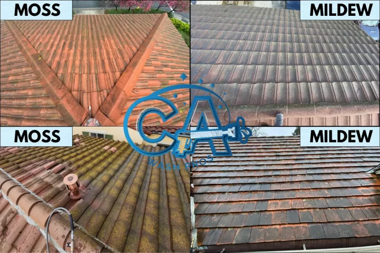 Dirty roofs with filled with moss (left side) and mildew (right side).