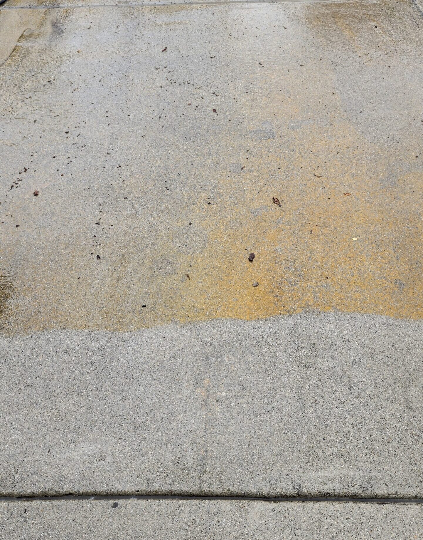 Driveway power washing in San Jose, CA