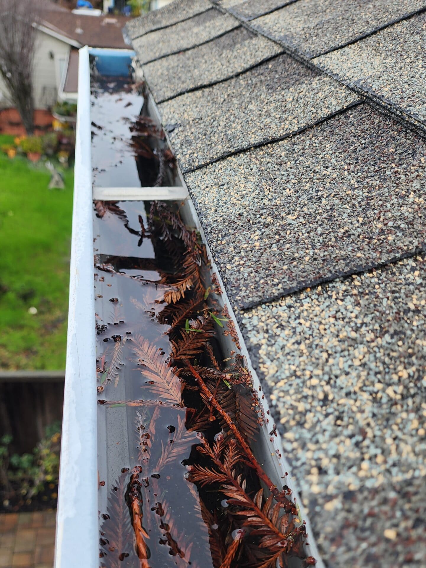 Gutter cleaning in San Jose, CA, showing gutters filled with debris and water.