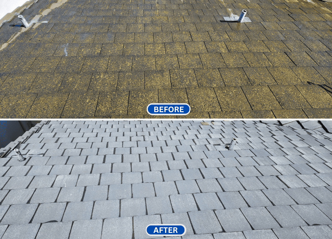 Before and after photo of a roof wash service in San Jose, CA, showcasing a roof covered in moss and algae transformed into a clean, restored surface by CA Wash Pros.