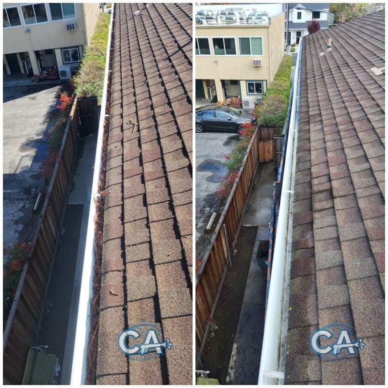 Gutter cleaning service preventing clogs and water damage in Danville.