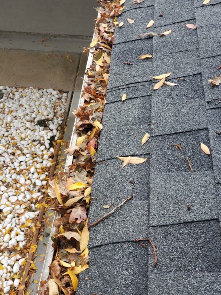 Gutter system in Santa Cruz full of leaves and debris.