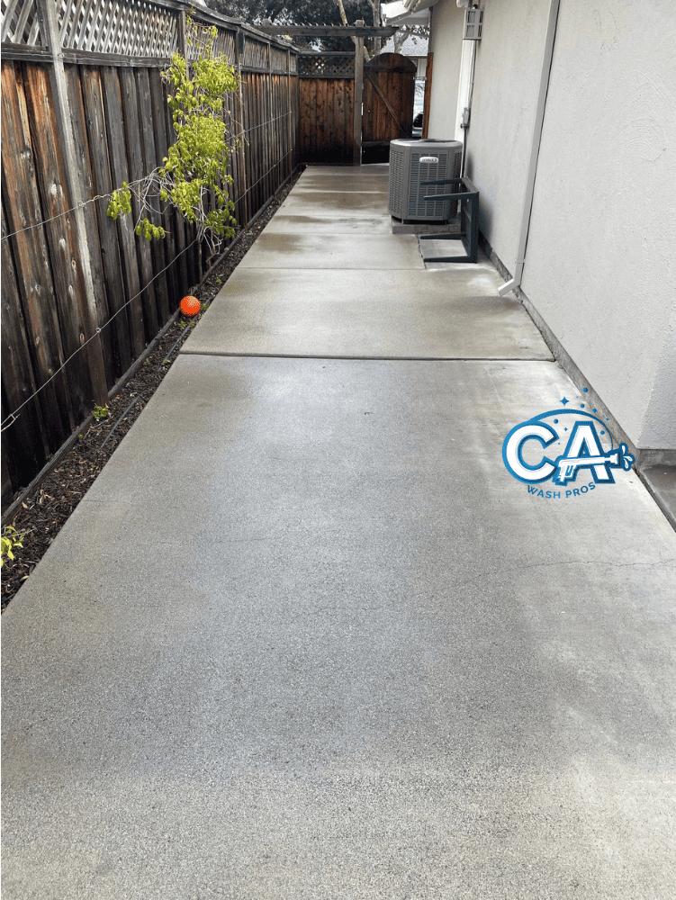 Walkway cleaned with power washing in Danville, CA.