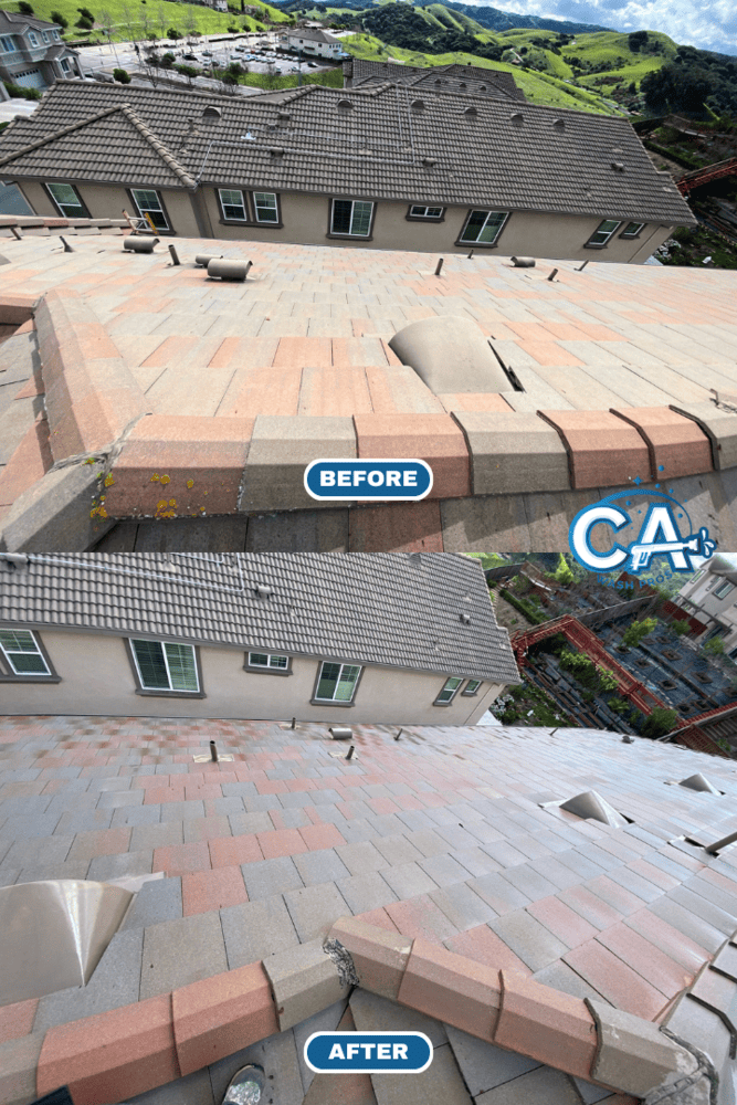 A roof in Alameda with moss and algae buildup before roof cleaning.