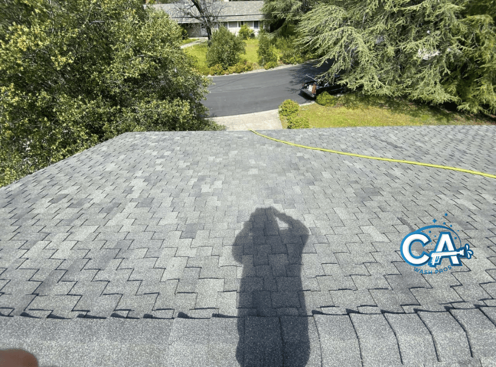 A residential roof in Castro Valley cleaned to remove moss and stains.