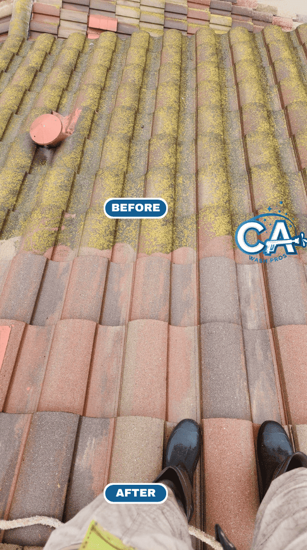 A residential roof in San Leandro cleaned to remove moss and debris.