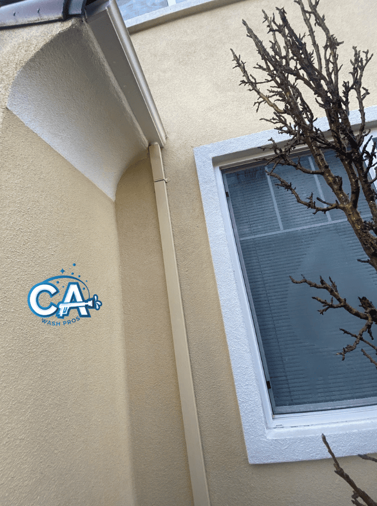 Streak-free windows after professional window cleaning in Livermore.