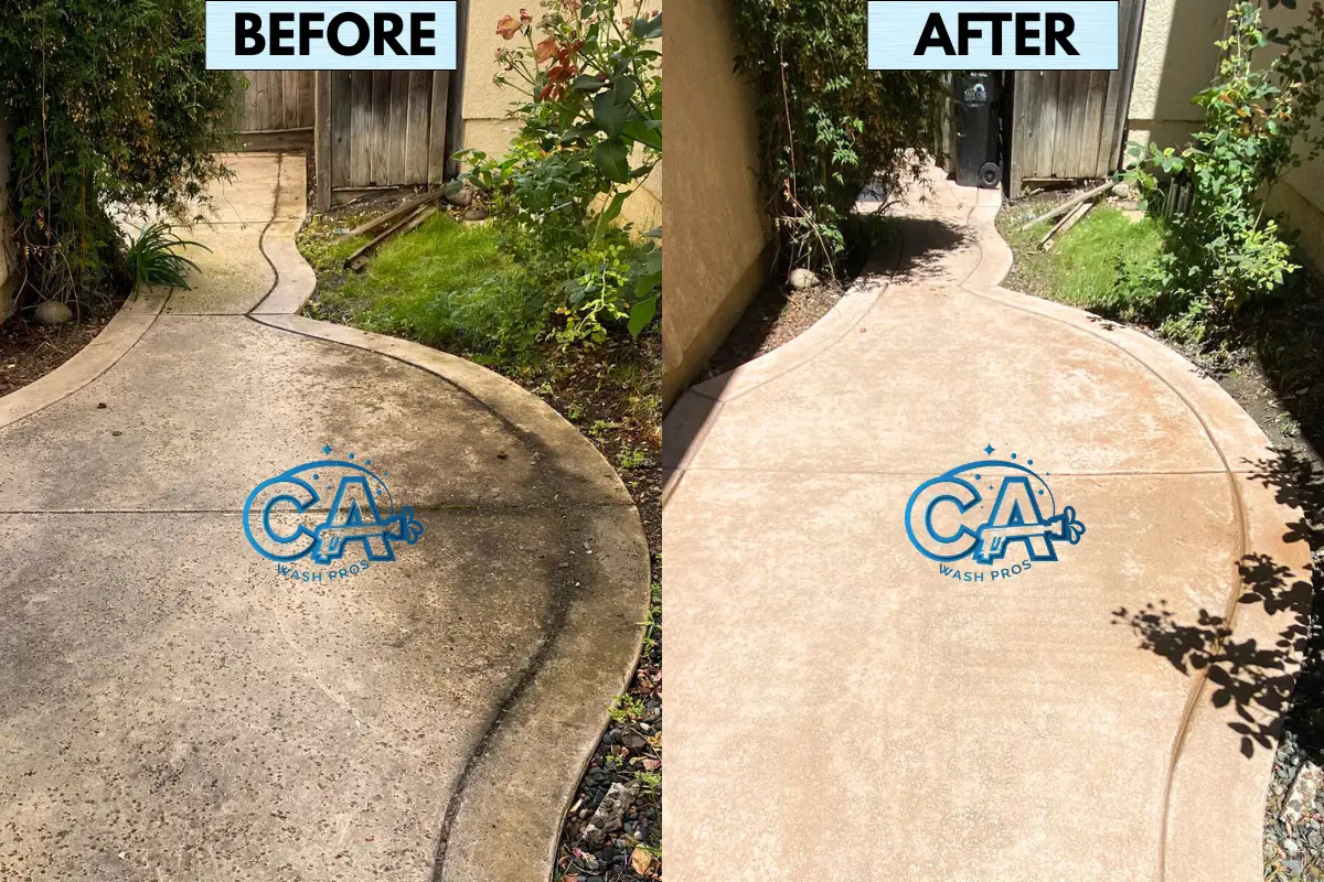 Pressure washing service results show instant transformation and removal of moss and algae on walkways.