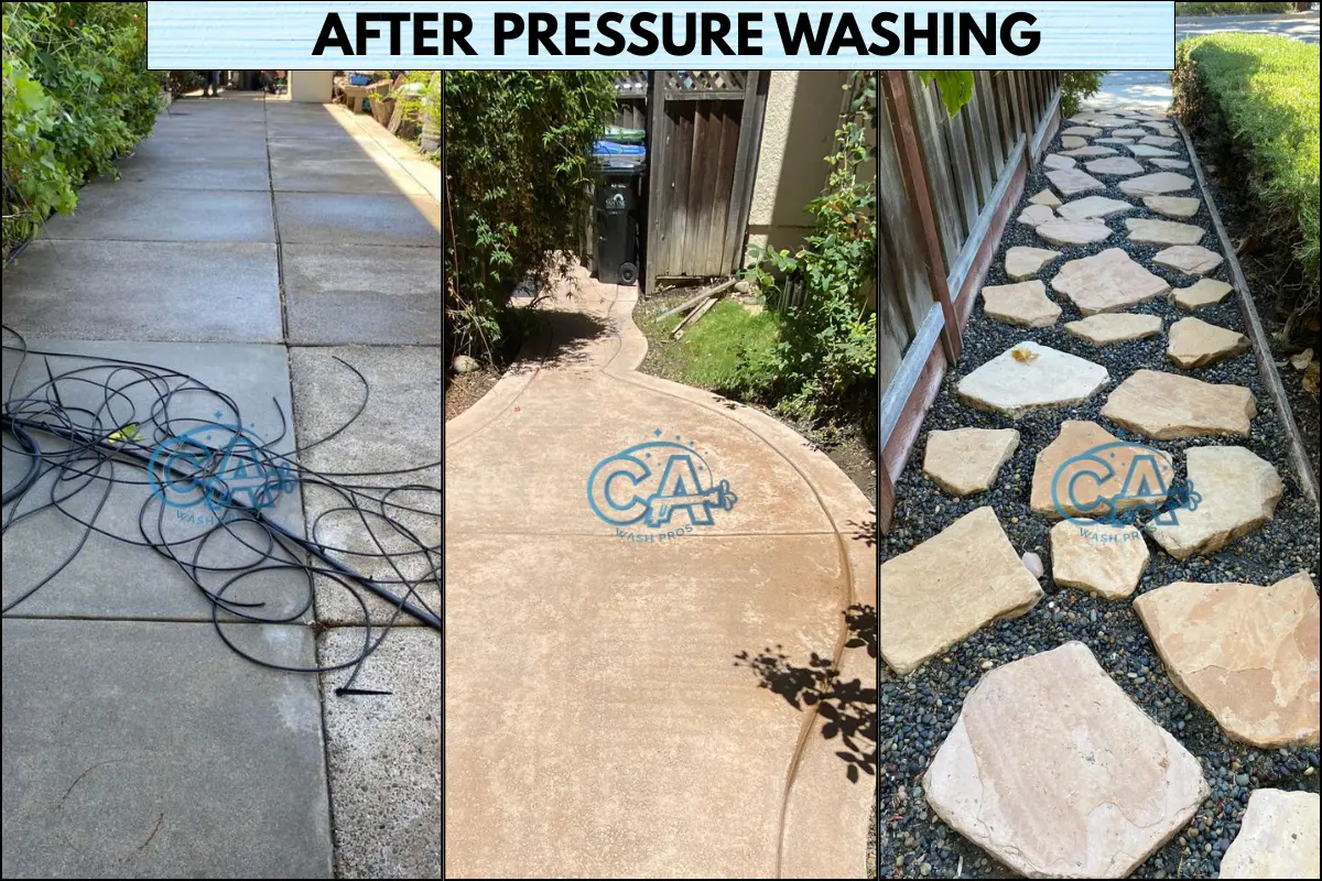 Pressure washing results on different types of walkways showing dirt, debris, mold and moss removal.