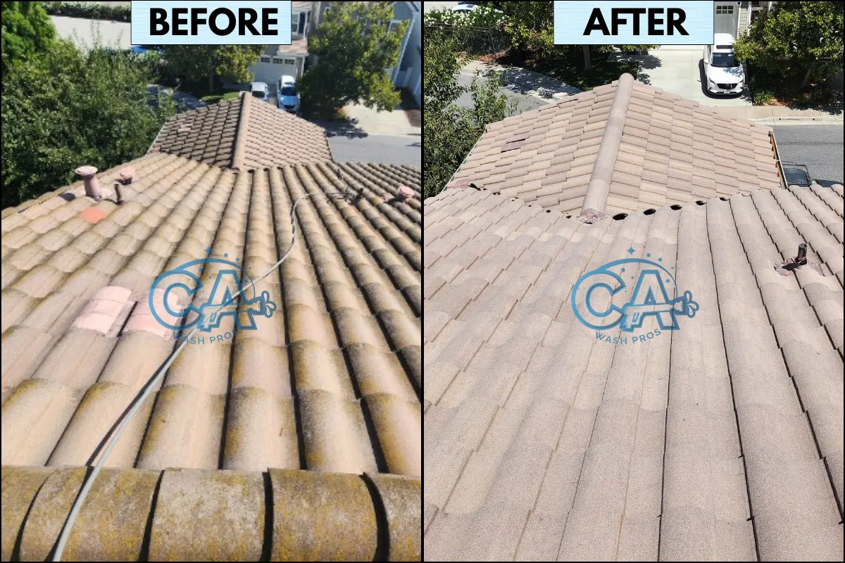 Roof wash service on a tile roof showing moss and algae removal.