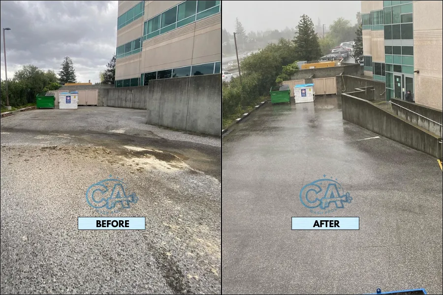 Driveway cleaning service before and after results showing removal of debris, bio organisms, and stains.