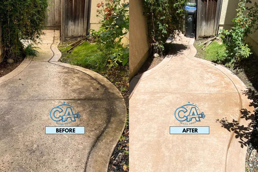 Pressure washing service results showing removal of moss and mildew on walkways.