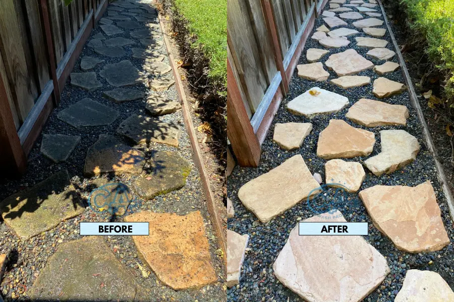Pressure washing service results showing removal of moss and algae on backyard stones.