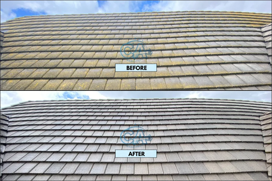 Before and after results of roof cleaning service showing complete moss removal.