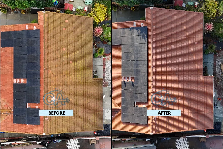 Before and after results of roof cleaning service showing full moss and algae removal.
