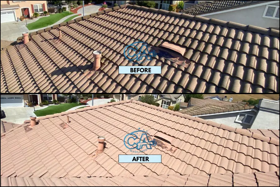 Roof wash service results on a tiled roof showing moss and algae removal.