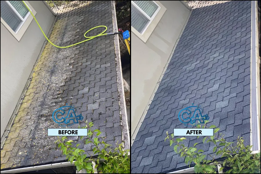 Before and after results of our soft wash cleaning for shingle roofs.