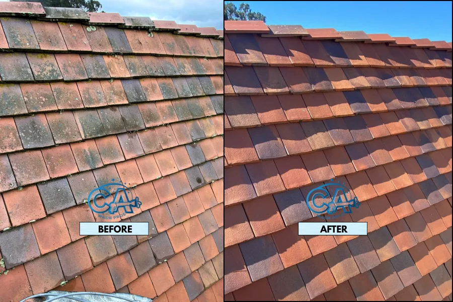 Tile roof washing service results showing mildew removal.