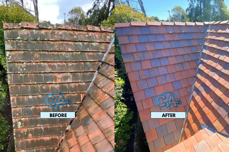 Tile roof washing service results showing mildew removal.