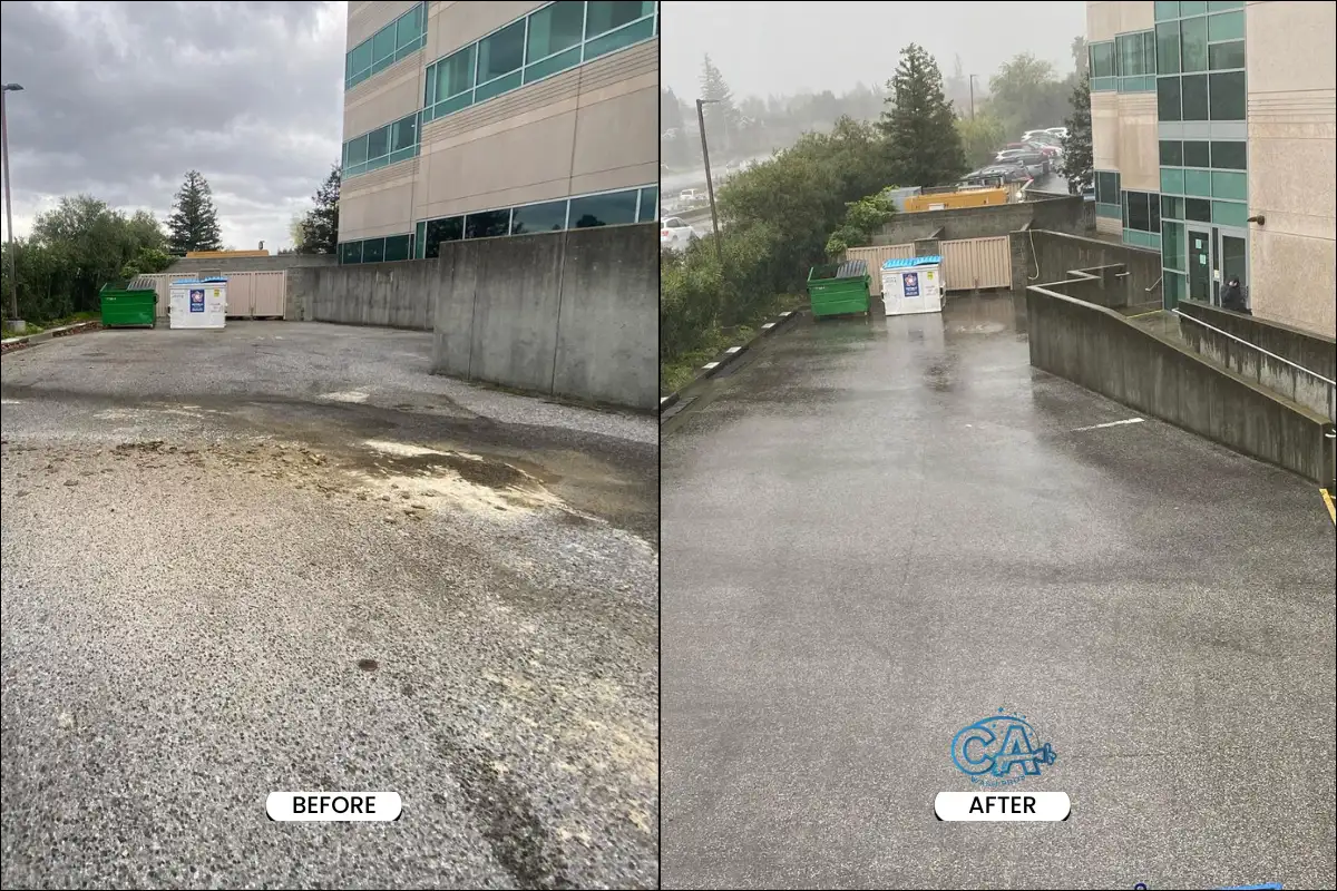 Driveway pressure washing - before and after.