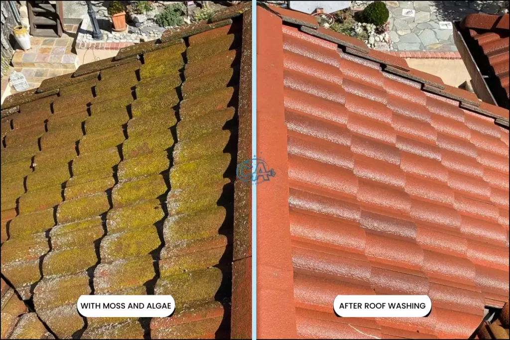 Comparing left side of the roof with moss and algae between right side without moss and algae.