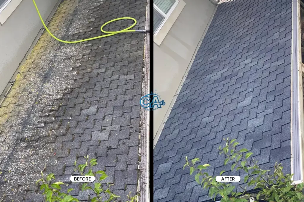 Before and after of roof soft washing on a shingle roof.