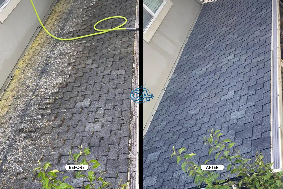 Before and after of roof soft washing on a shingle roof.