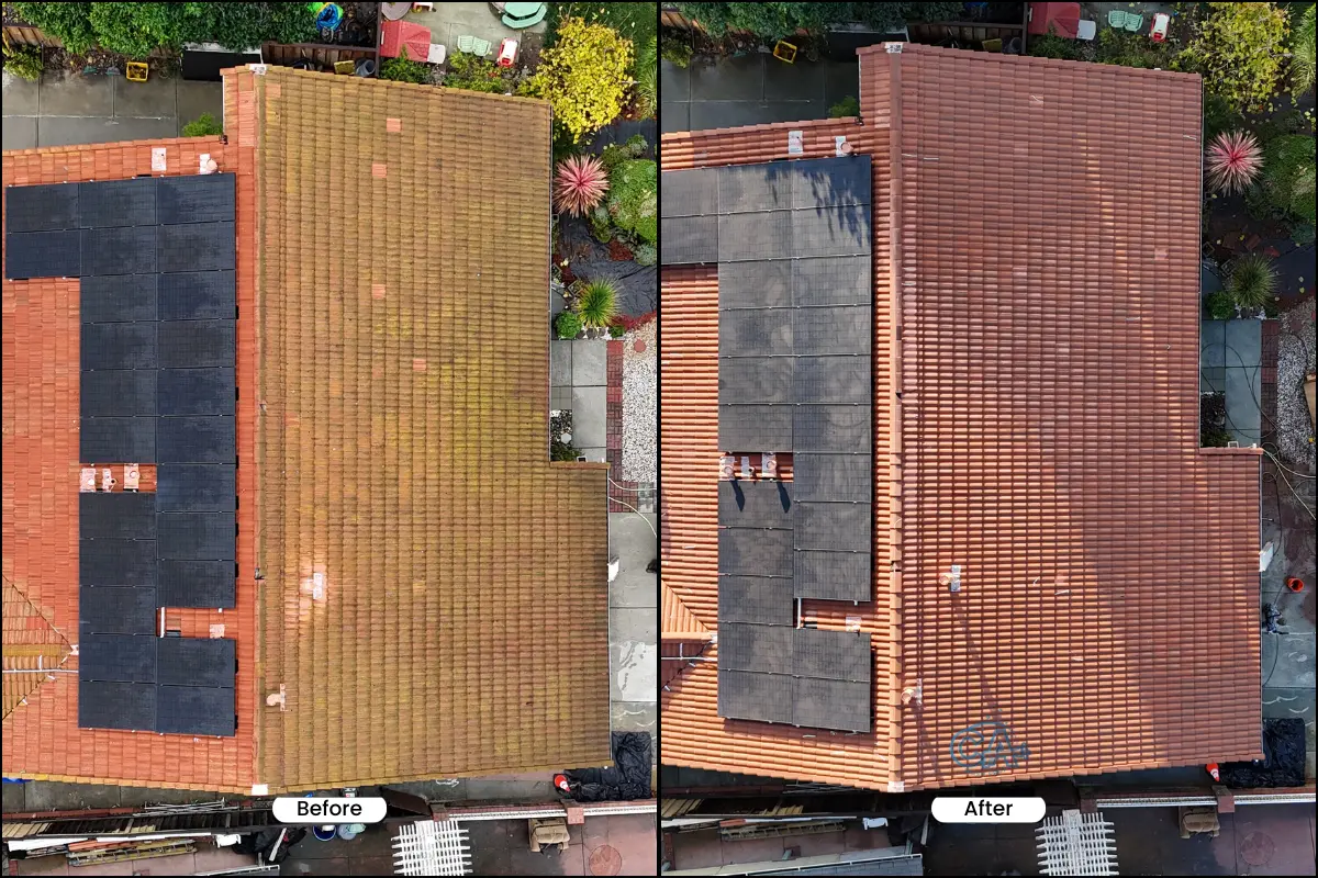 Tile roof cleaning service - before and after comparison.